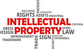 intellectualproperty intellectualproperty